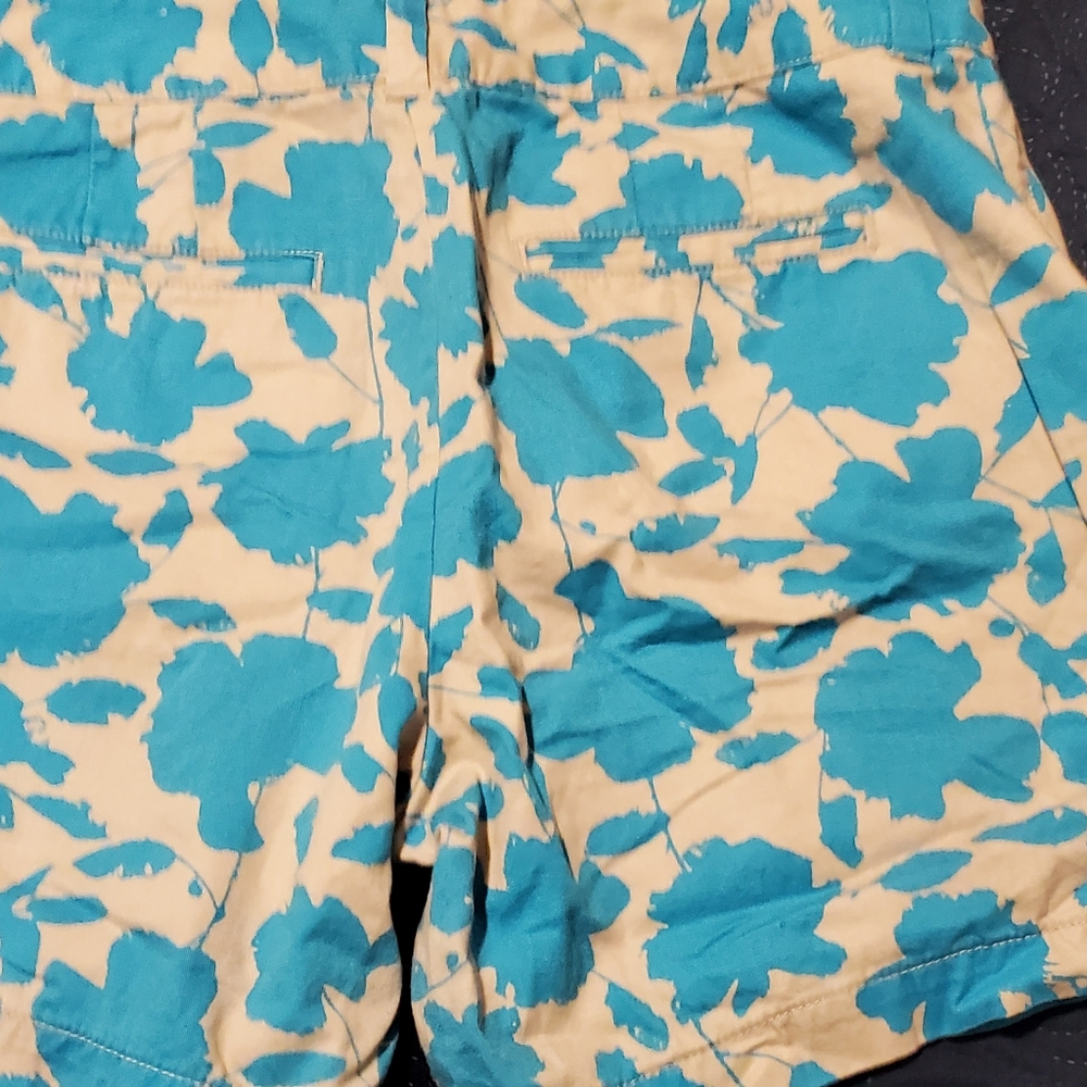 Loft shorts by Ann Taylor